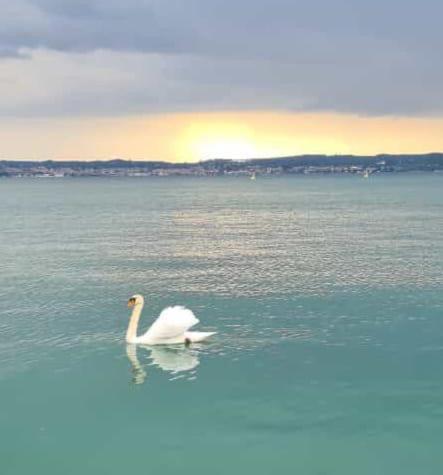 Vera Luxury Apartment Sirmione Eksteriør billede